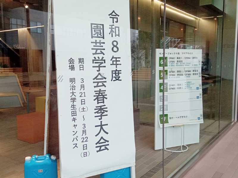 日本イチゴフォーラムで講演を行いました